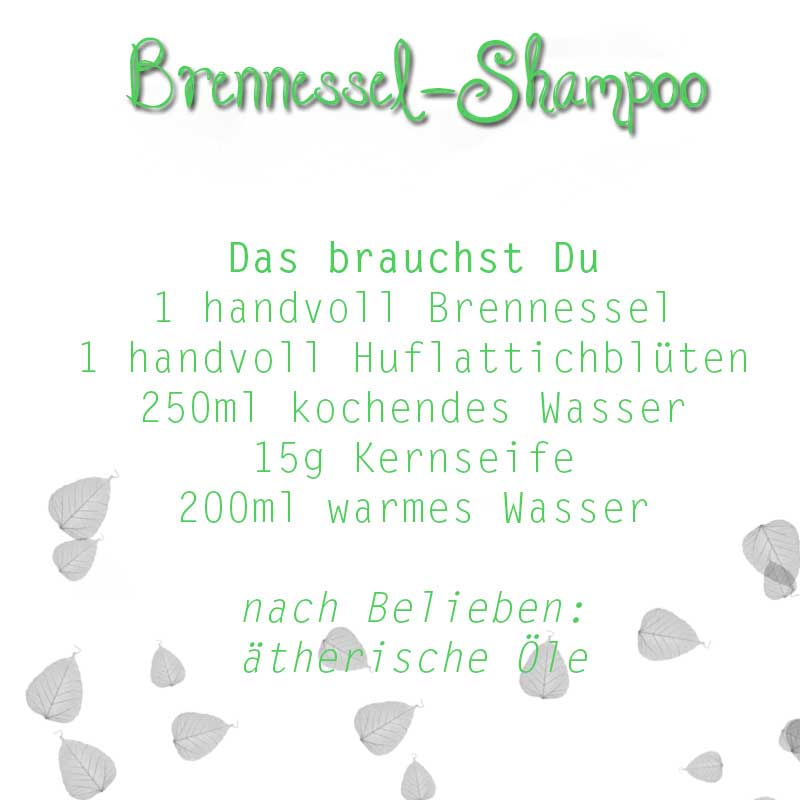 Brennessel-Shampoo