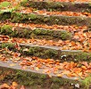 K800_IMG_6973