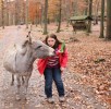 esel-liebe-wildpark-daun