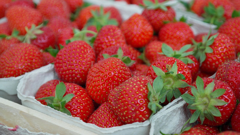 Gefriertrocknung Frische Fruchte Das Ganze Jahr Diecheckerin De