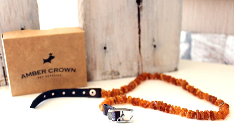 Bernsteinkette-Haustier-Amber-Crown-Zeckenschutz