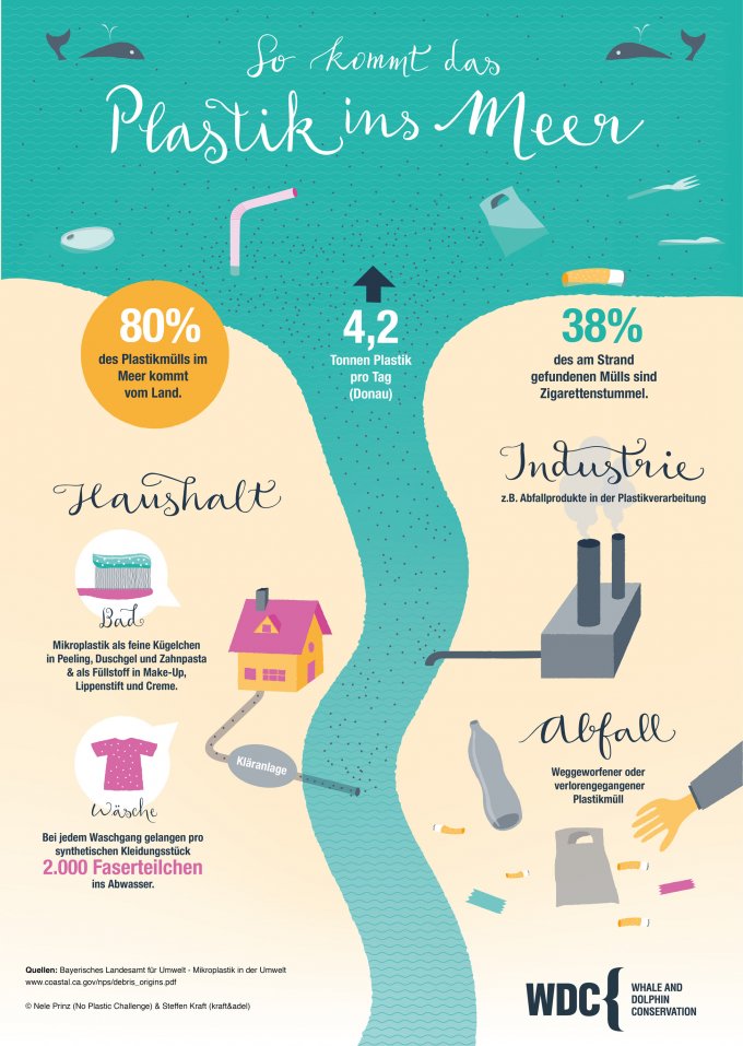 plastik-ins-meer-prinz-kraft