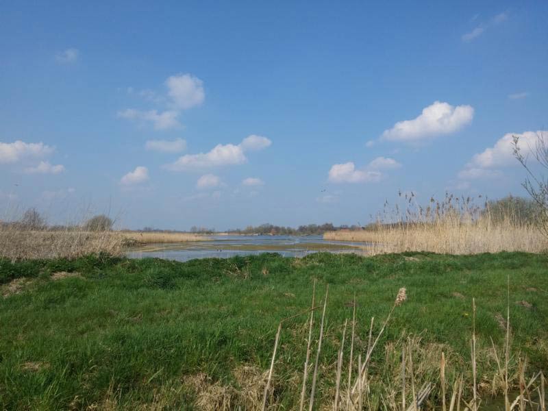 rieselfelder-muenster-blick-diecheckerin-de