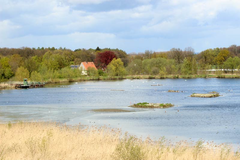 rieselfelder-muenster-diecheckerin-de