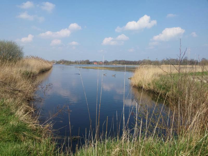 rieselfelder-muenster-wasser-diecheckerin-de