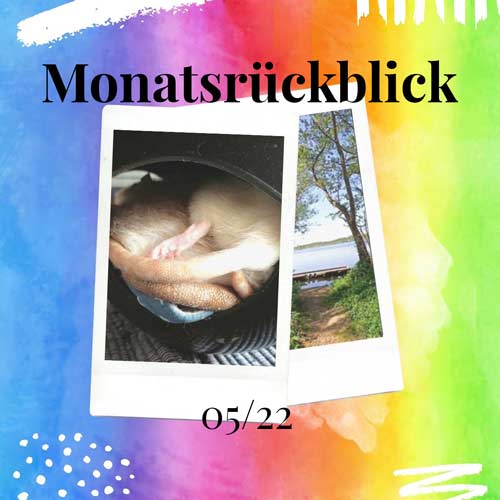 Monatsrückblick 05/22 