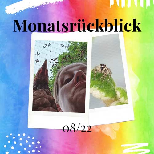 Monatsrückblick 08/22 DieCheckerin
